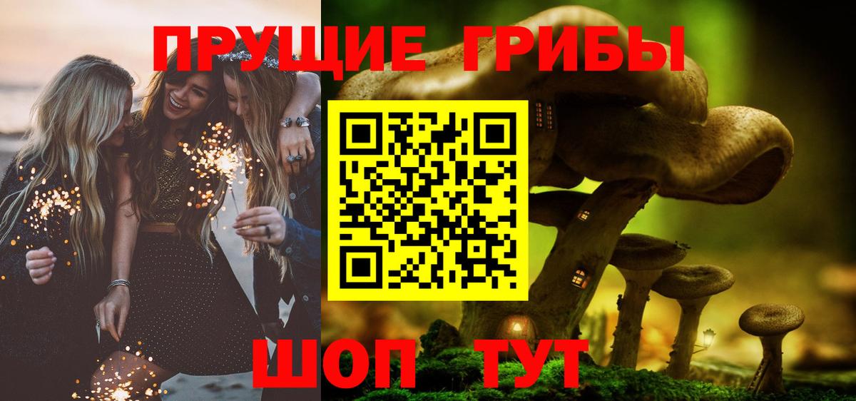 Бердск  Галлюциногенные грибы ЛСД  Вход с VPN 