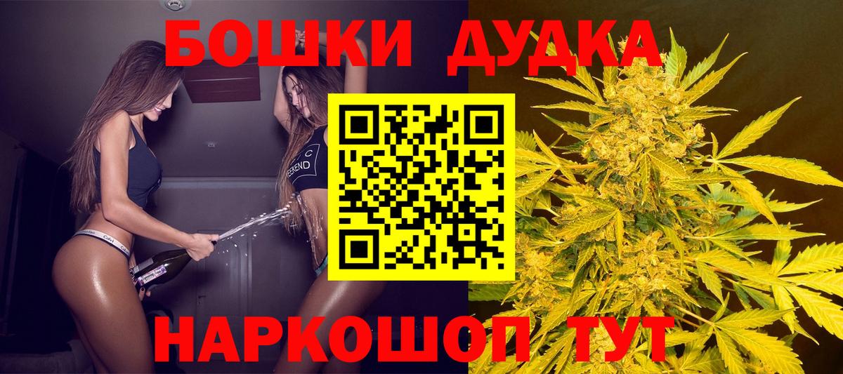 Бошки марихуана конопля  Вход с VPN  Марихуана семена  Бердск 